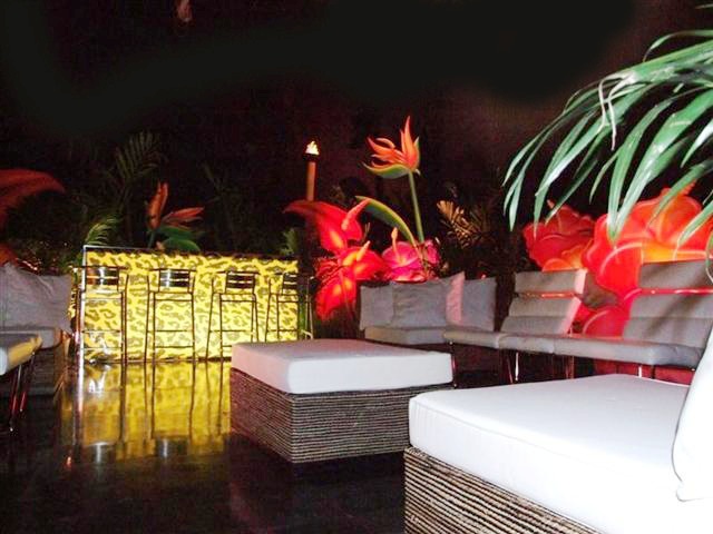 Tropical with seating & bar